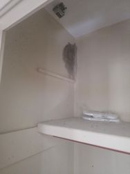 Panama City Mold Remediation Assessment — Florida-licensed mold remediation assessment in progress at a Panama City home — air sampling and surface testing.