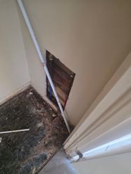 Panama City Wall Water Damage Inspection — Panama City water damage wall inspection — moisture meter and thermal imaging used to quantify damage extent.