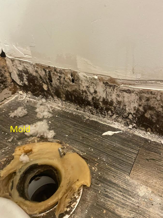 Extensive black mold growth on baseboard and flooring — licensed mold removal Florida
